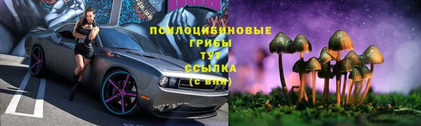 эйфоретик Богородицк